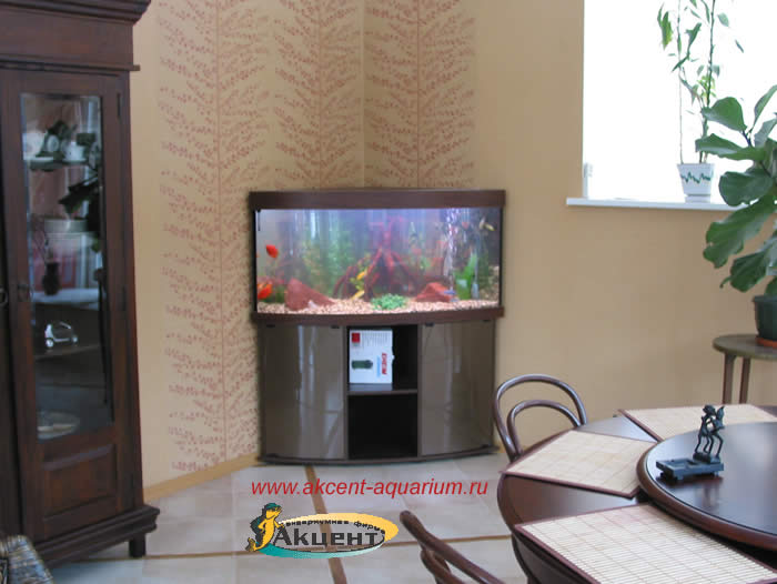 Акцент-аквариум,аквариум 240 литров с гнутым передним стеклом